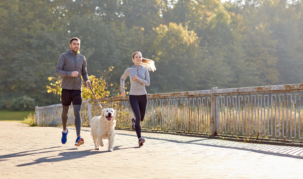 Hammertoes Treatment in South Carolina & Georgia